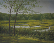 Gracing The Marsh
