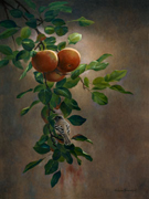 A Moment To Rest II